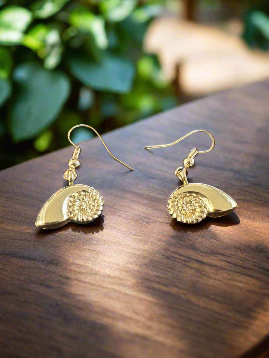 Seashell 14K Gold Plated earrings. - Creations by Rosa